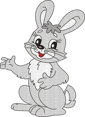 rabbit - PNG gratuit