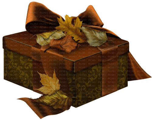 jesienny prezent - 免费PNG