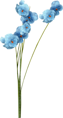 kikkapink blue flowers - besplatni png