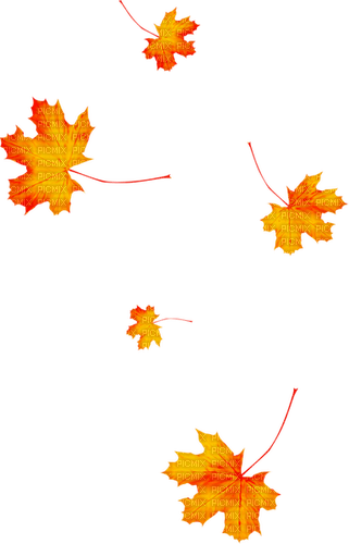 Leaves.Orange.Red - безплатен png