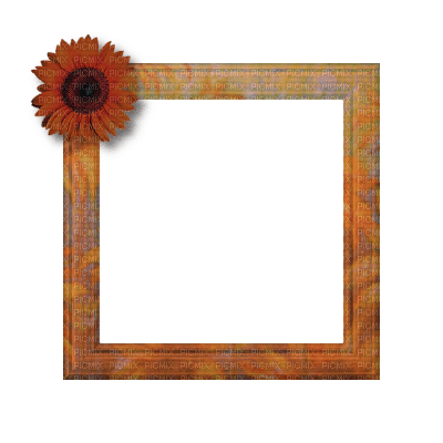 Small Orange Frame - png grátis