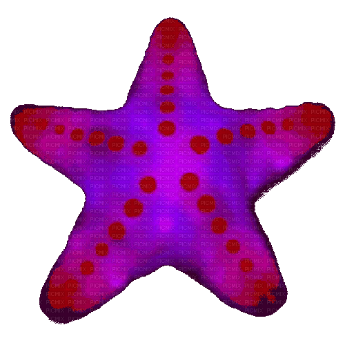 starfish toy light thing idk - GIF animado grátis