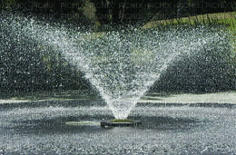 Water, Fountains, Raindrops, Ripples + More - Jitter.Bug.Girl - Gratis animeret GIF