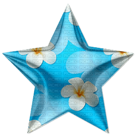 Flower Star - png gratuito