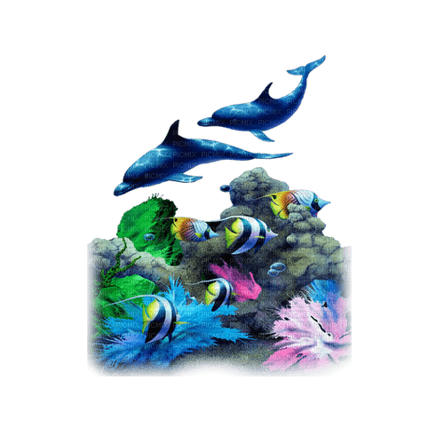 dauphin fish sea - 免费PNG
