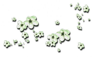 Flowers Deco - png grátis