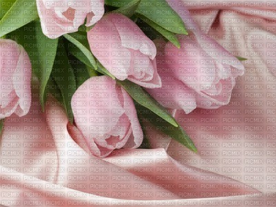 bg-pink-flower - png grátis
