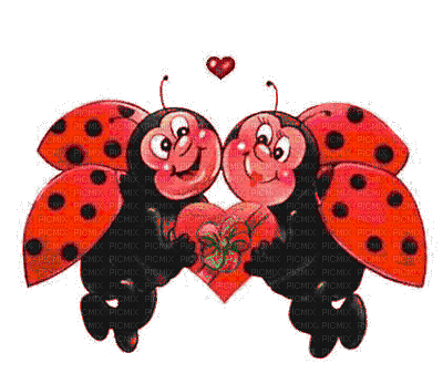 ladybug lovley - GIF animado gratis