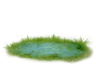 GRASS - PNG gratuit