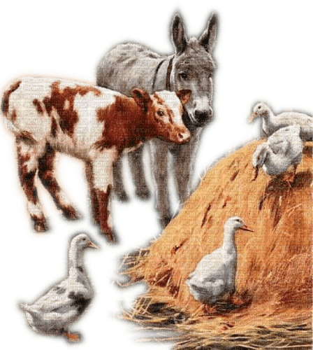 Rena Tiere Esel Gänse Kalb - besplatni png