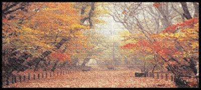 L'automne - GIF animado grátis