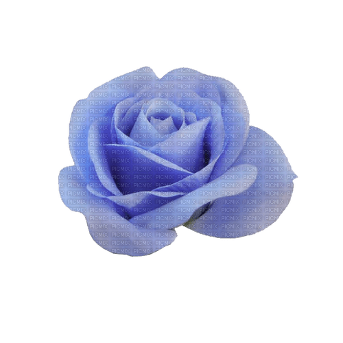 kikkapink deco scrap blue rose - PNG gratuit