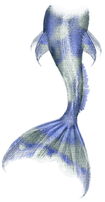 merenneito, mermaid, tail, pyrstö - Free PNG
