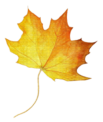 Kaz_Creations Autumn Deco - PNG gratuit