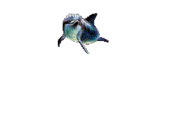 delphin - Gratis geanimeerde GIF
