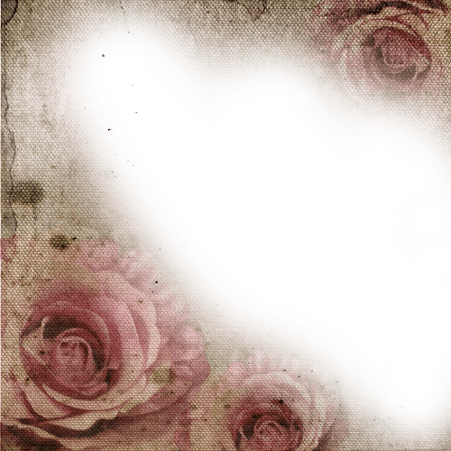 dolceluna pink roses frame vintage spring scrap - kostenlos png