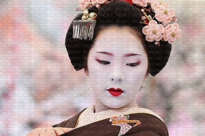 Geisha - 免费PNG