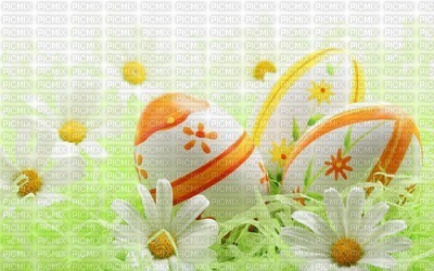 Kaz_Creations Backgrounds Background Easter - Free PNG