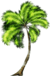 Пальма - Zdarma animovaný GIF