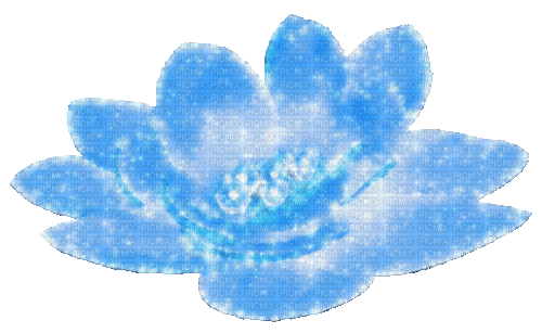 Animated.Flower.Pearls.Blue - By KittyKatLuv65 - Animovaný GIF zadarmo