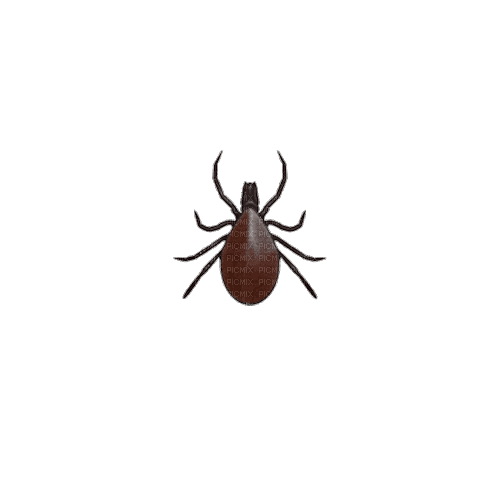 spinning tick by cursed_render - 免费动画 GIF