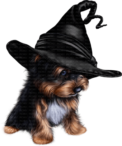 halloween dog by nataliplus - png grátis