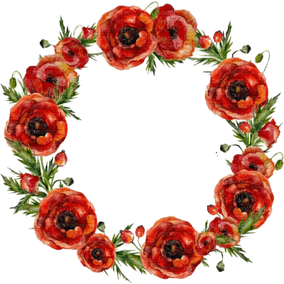 flower circle - png grátis