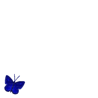 blue butterfly gif - Ingyenes animált GIF