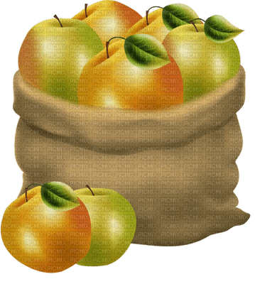 manzanas - png gratuito