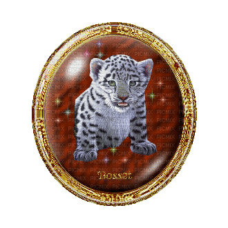 baby tiger - Gratis animeret GIF
