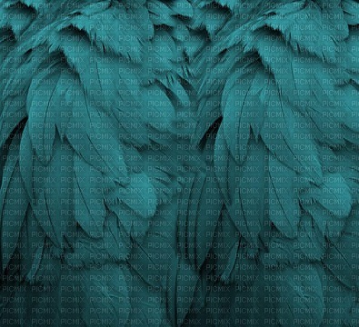 feathers background - kostenlos png
