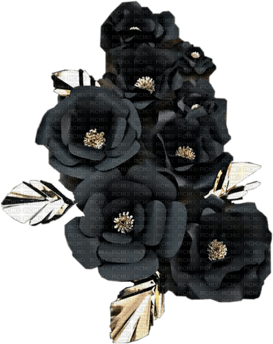 black roses - nemokama png