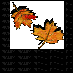 autumn leaves - GIF animé gratuit