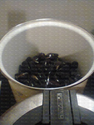 moule - Free PNG