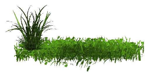 gras grass - GIF animado grátis