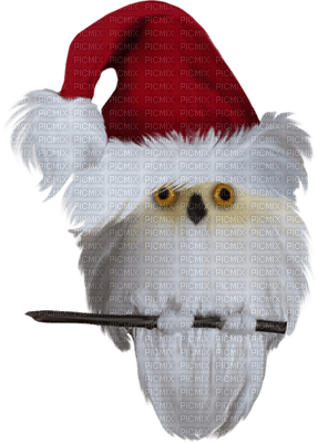 Christmas birds bp - δωρεάν png
