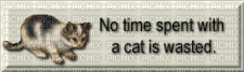 Cat - 免费PNG