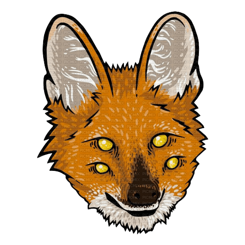 fox - PNG gratuit
