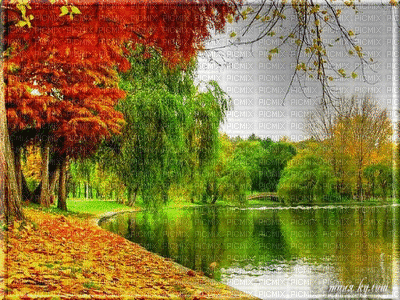 Paysage.Landscape.Lac.Autumn.Victoriabea - Nemokamas animacinis gif
