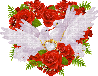 deux colombes et roses rouges - GIF animado grátis