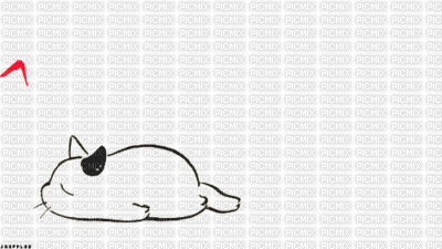 ♥Kawaii cat♥ - GIF animé gratuit