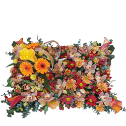 Kaz_Creations Deco Flowers Flower Pillow  Colours - png gratis