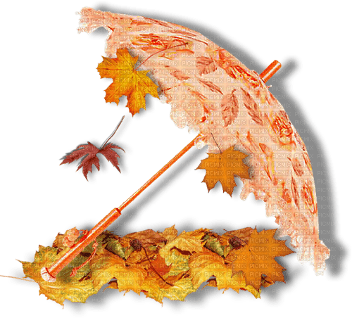 autumn fall umbrella regenschirm parapluie - δωρεάν png