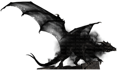 dragon shadow - 免费PNG