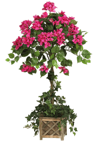 PINK TREE PLANT - zdarma png