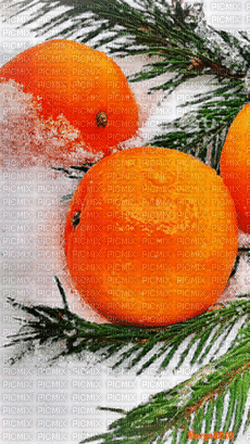 Winter Oranges - Gratis animerad GIF