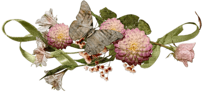 minou-vintage-flower - png grátis