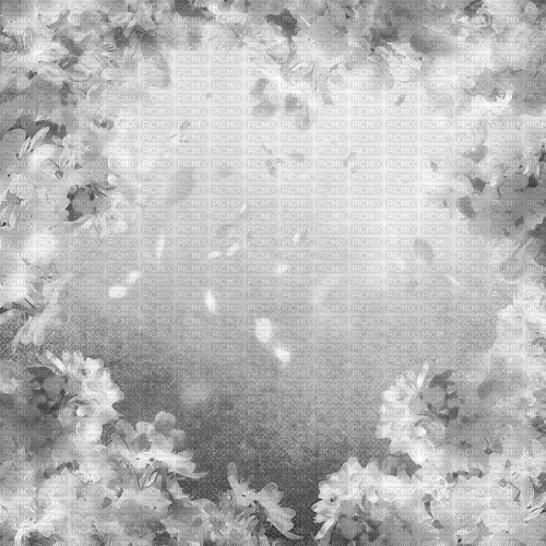 Y.A.M._Spring background black-white - zdarma png