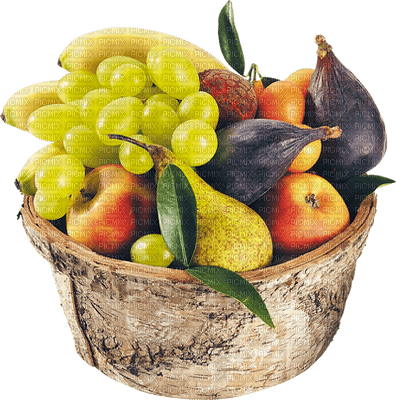 charmille _ fruits - zdarma png