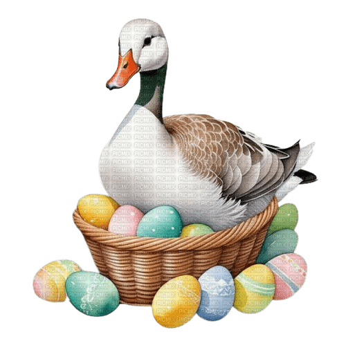 easter, ostern - png gratuito
